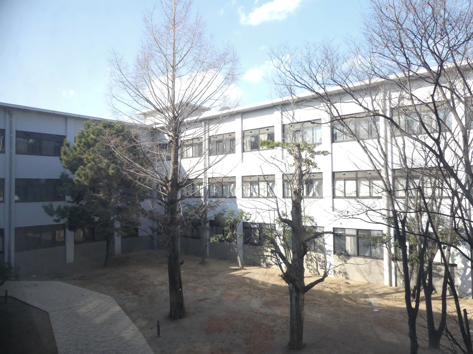 研究室がある総合科学部校舎の外観